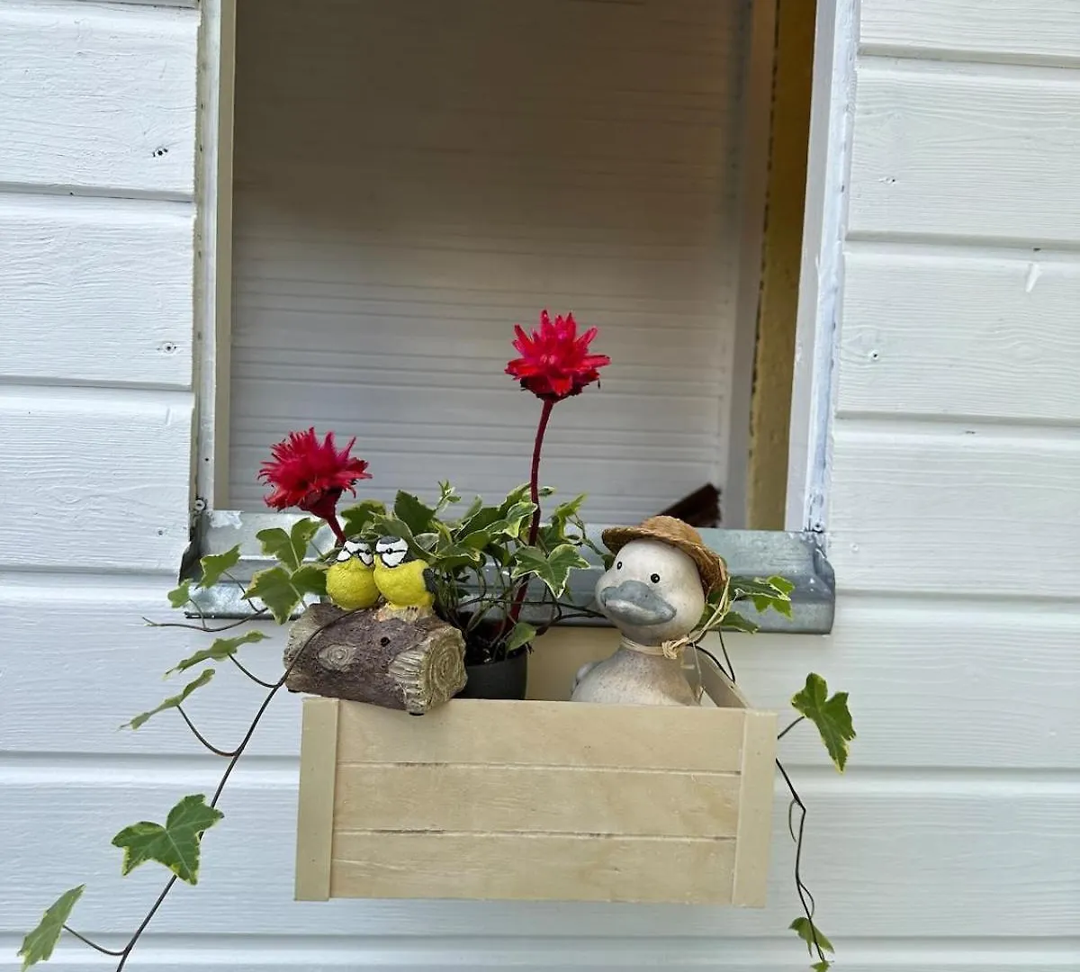 Nest & Rest Garden Stay With Free Parking Salzburgo Austria